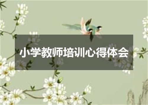 小学教师培训心得体会