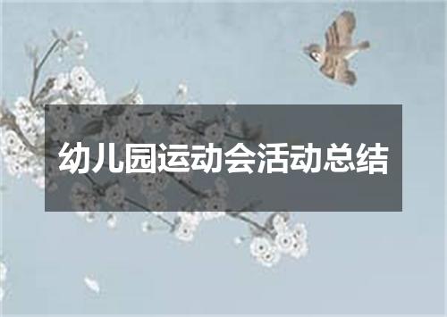 幼儿园运动会活动总结
