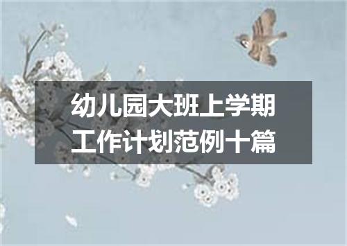幼儿园大班上学期工作计划范例十篇