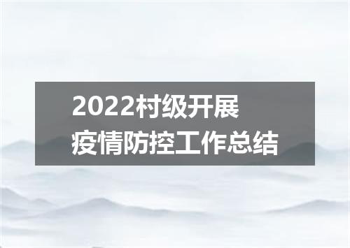 2022村级开展疫情防控工作总结