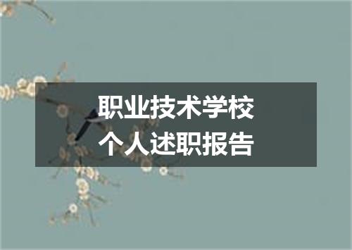 职业技术学校个人述职报告