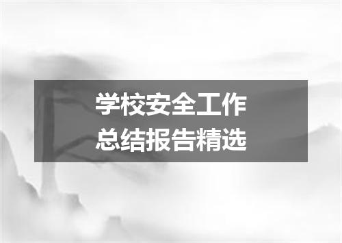 学校安全工作总结报告精选