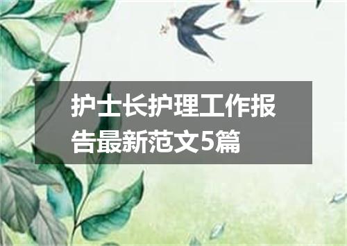 护士长护理工作报告最新范文5篇