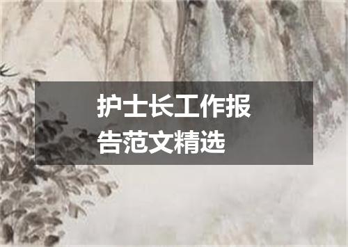 护士长工作报告范文精选