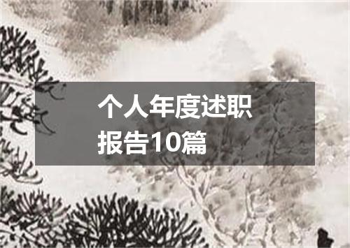 个人年度述职报告10篇