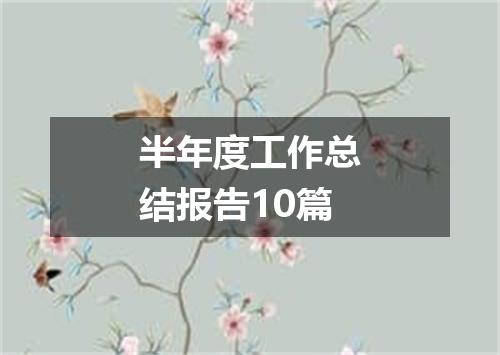 半年度工作总结报告10篇