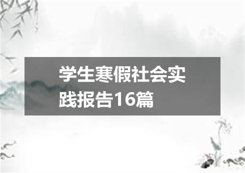 学生寒假社会实践报告16篇