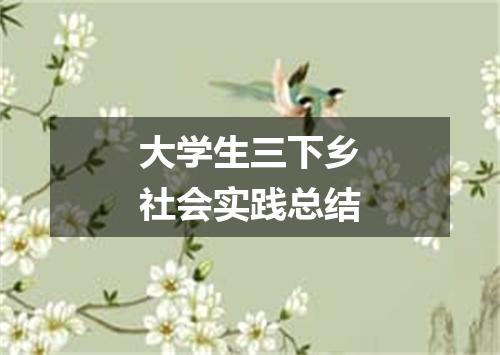 大学生三下乡社会实践总结