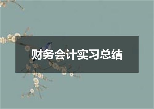 财务会计实习总结