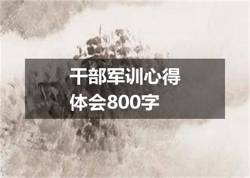 干部军训心得体会800字
