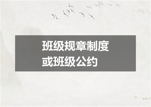 班级规章制度或班级公约