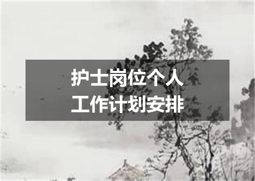 护士岗位个人工作计划安排