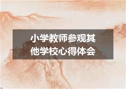 小学教师参观其他学校心得体会