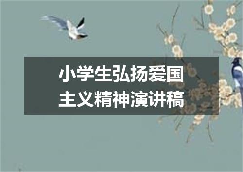 小学生弘扬爱国主义精神演讲稿