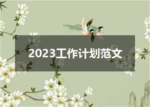 2023工作计划范文