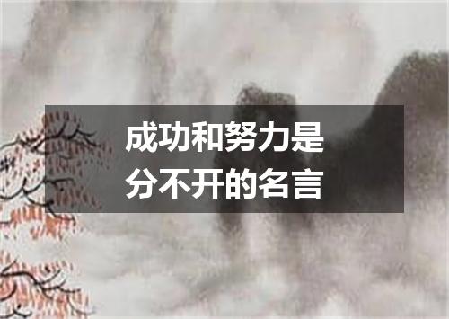 成功和努力是分不开的名言