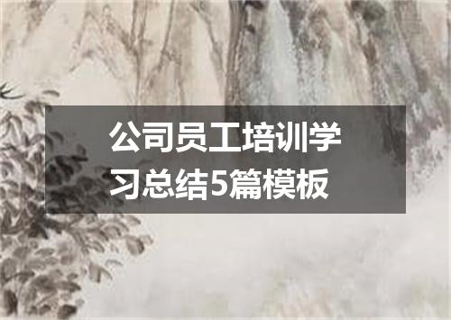 公司员工培训学习总结5篇模板