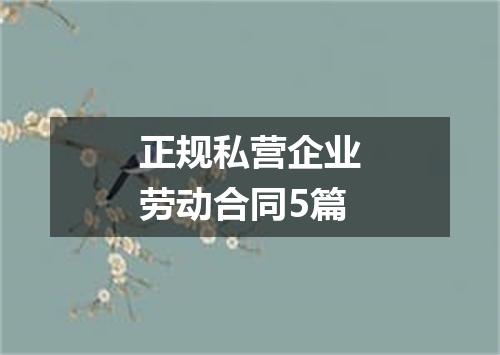 正规私营企业劳动合同5篇