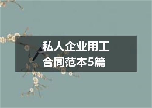 私人企业用工合同范本5篇