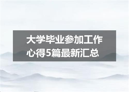 大学毕业参加工作心得5篇最新汇总