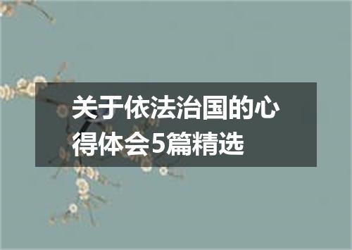 关于依法治国的心得体会5篇精选