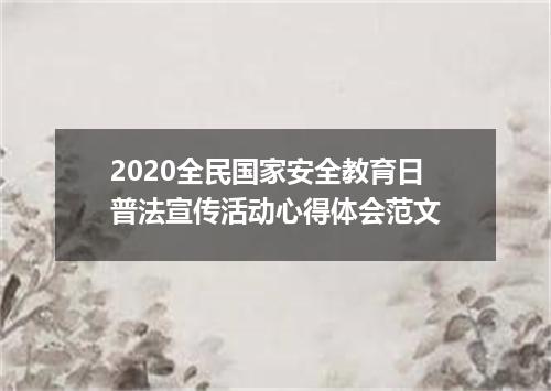 2020全民国家安全教育日普法宣传活动心得体会范文