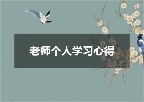 老师个人学习心得