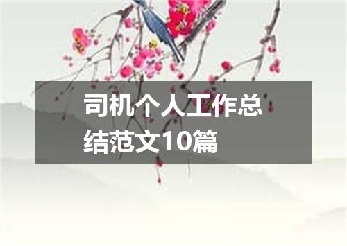 司机个人工作总结范文10篇