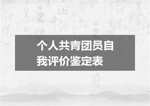 个人共青团员自我评价鉴定表