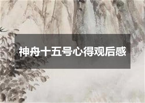 神舟十五号心得观后感