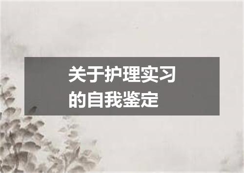 关于护理实习的自我鉴定