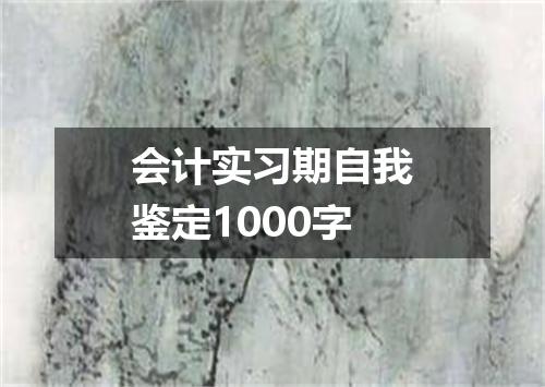 会计实习期自我鉴定1000字