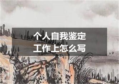 个人自我鉴定工作上怎么写