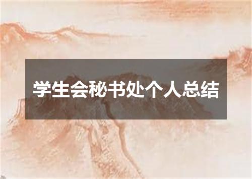 学生会秘书处个人总结