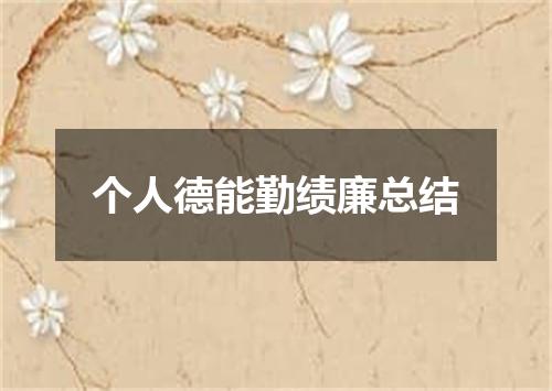 个人德能勤绩廉总结