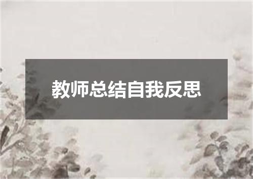 教师总结自我反思