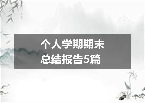 个人学期期末总结报告5篇