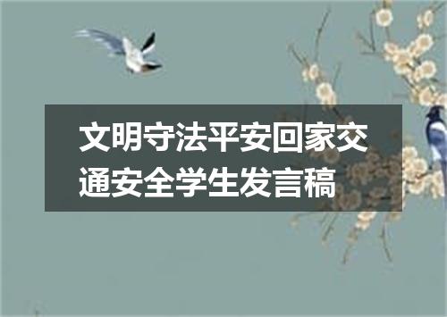 文明守法平安回家交通安全学生发言稿