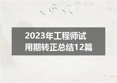 2023年工程师试用期转正总结12篇