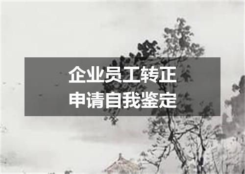 企业员工转正申请自我鉴定