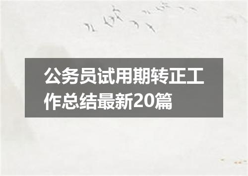 公务员试用期转正工作总结最新20篇