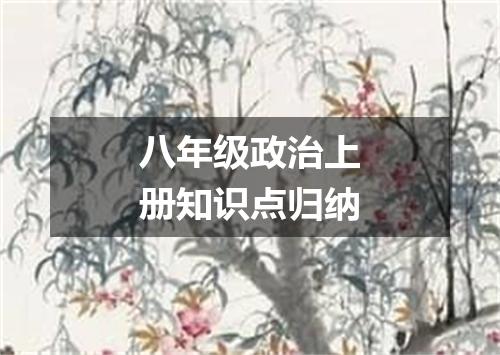 八年级政治上册知识点归纳
