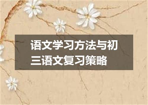 语文学习方法与初三语文复习策略