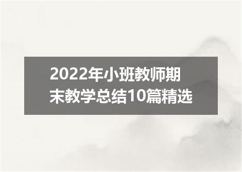 2022年小班教师期末教学总结10篇精选