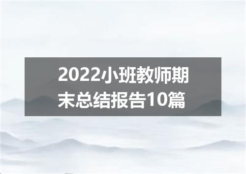 2022小班教师期末总结报告10篇