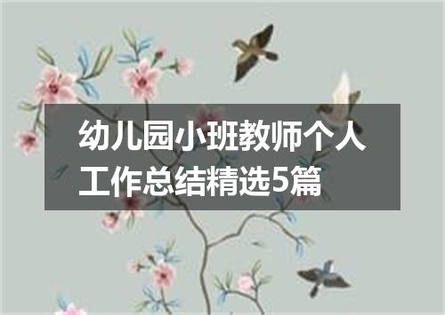 幼儿园小班教师个人工作总结精选5篇