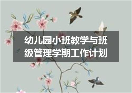 幼儿园小班教学与班级管理学期工作计划
