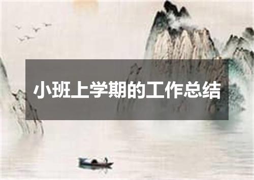 小班上学期的工作总结