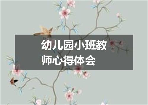 幼儿园小班教师心得体会