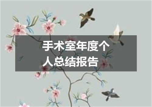 手术室年度个人总结报告